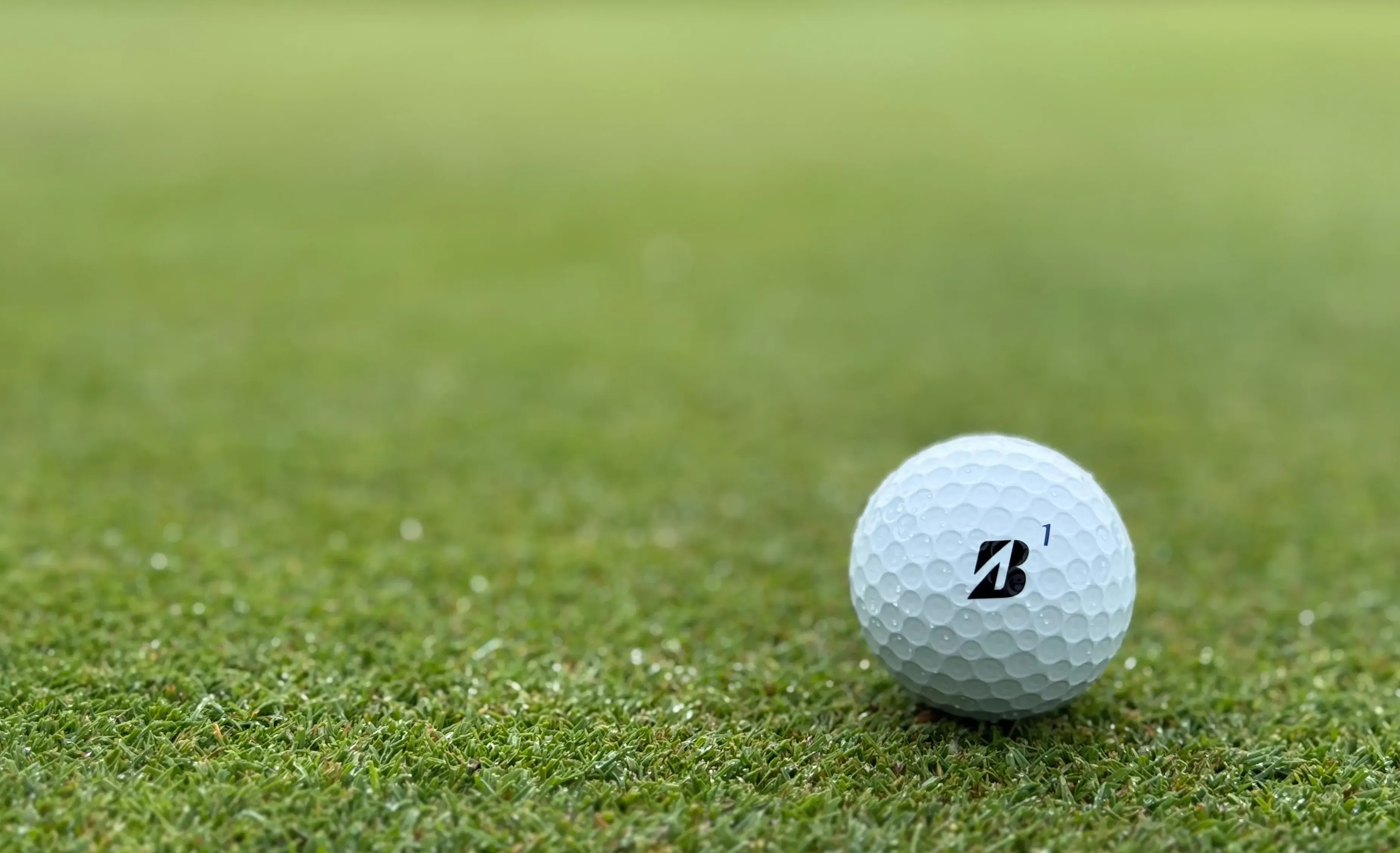 Fox_Run_Golf_Ball_Image_2fd25850a1